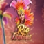 Rio Fantasia
