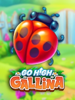 Go High Gallina