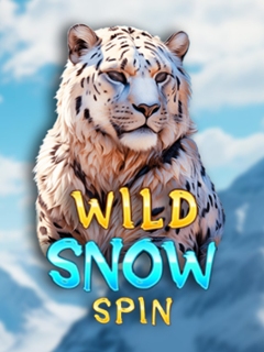 Wild Snow Spin