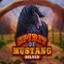 Spirit of Mustang Deluxe