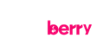 Betberry.io Casino