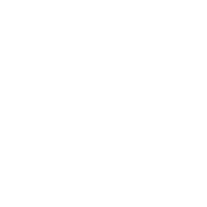 MegaVegas Casino Logo