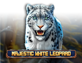 Majestic White Leopard