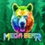 Mega Bear