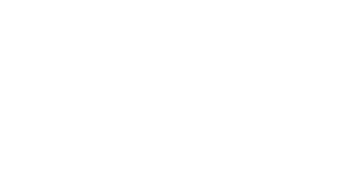 NaoBet Casino Logo