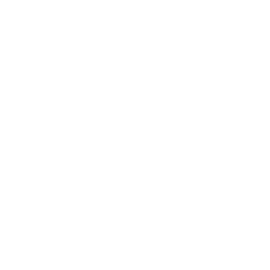 NaoBet Casino Logo