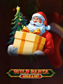 Wild Santa - Hold & Hit