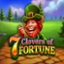 7 Clovers of Fortune