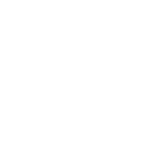 Discasino Logo