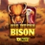 Big Bucks Bison 10k Ways