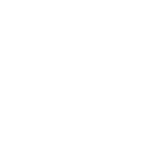 HashPro Casino Logo