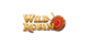 Wild Robin Casino