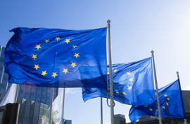 European flag
