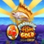 4 Fantastic Fish Gold Dream Drop