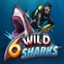 6 Wild Sharks