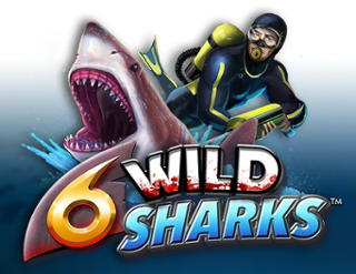 6 Wild Sharks