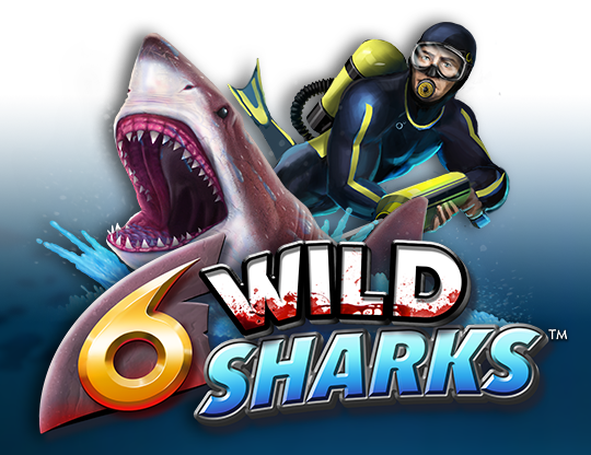 6 Wild Sharks