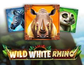 Wild White Rhino