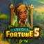 Habesha Fortune 5