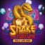 Snake Fortune Hold and Win