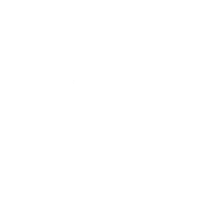 RioAce Casino Logo