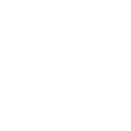 RioAce Casino Logo