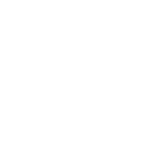 RioAce Casino Logo