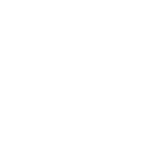 SlotNeo Casino Logo
