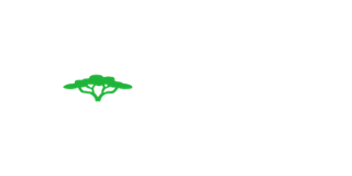 Ternobet Casino logo