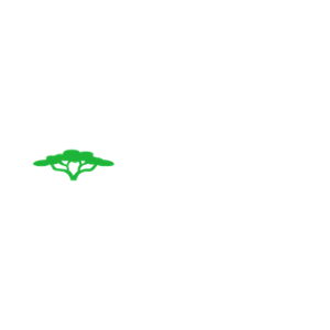 Ternobet Casino Logo