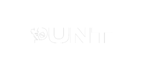 Punt.com Casino Logo
