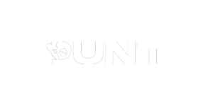 Punt.com Casino Logo