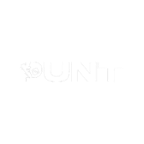 Punt.com Casino Logo