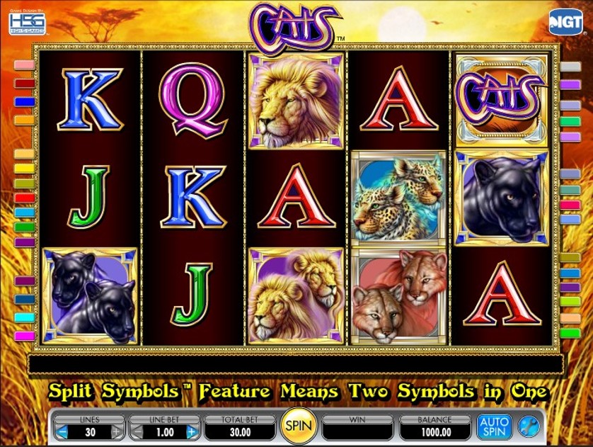 Онлайн казино Cat: как зарегистрироваться и начать играть? - RPGNuke Официальный сайт Cat Casino для игры на реальные деньги