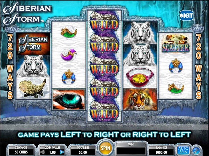 Stella Casino Limerick - Tienda Moda Slot Machine