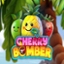 Cherry Bomber