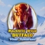 Majestic Wild Buffalo - Winter Wonderland
