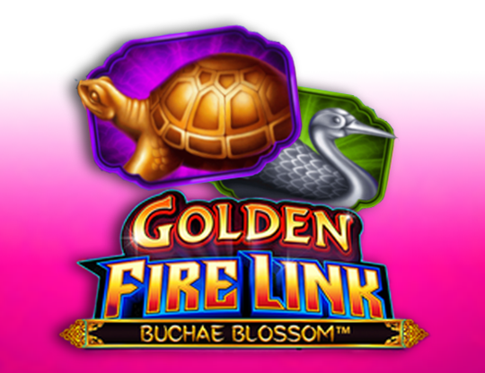 Golden Fire Link Buchae Blossom