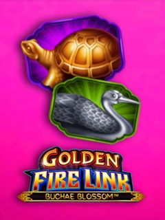 Golden Fire Link Buchae Blossom