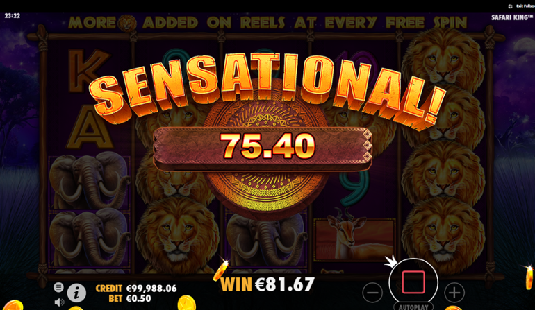 Safari King slot