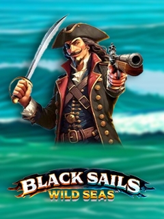 Black Sails Wild Seas