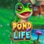 Pond Life