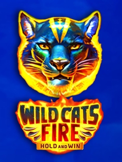 Wild Cats Fire