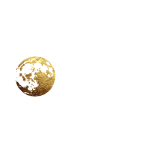9013_500x500_dark