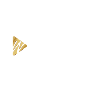 Wplay.co Casino Logo
