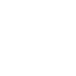 Bitzamo Casino Logo