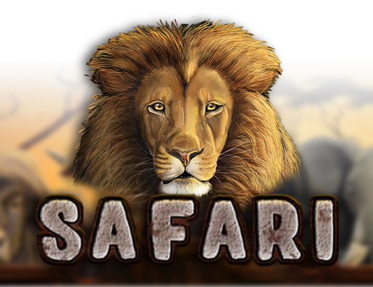 Safari