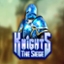 Knights: The Siege