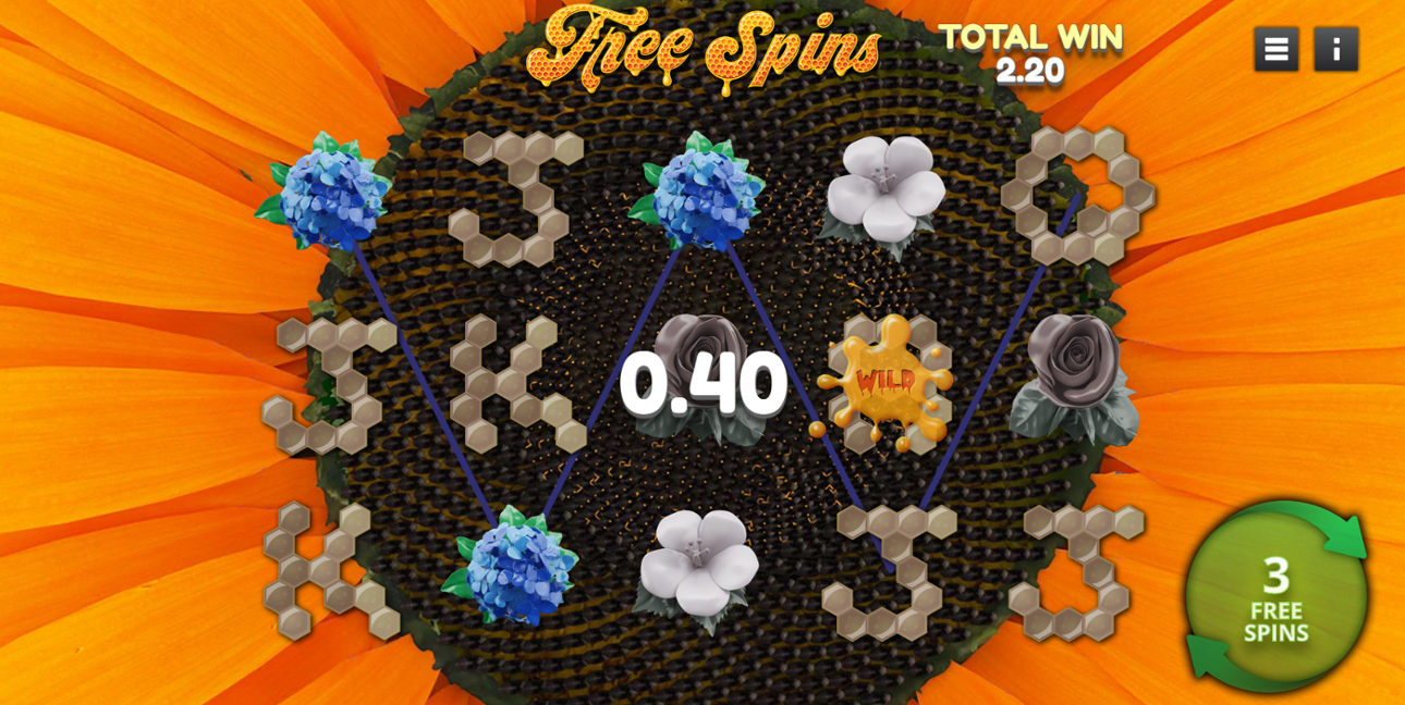 Show Me the Honey free spins win