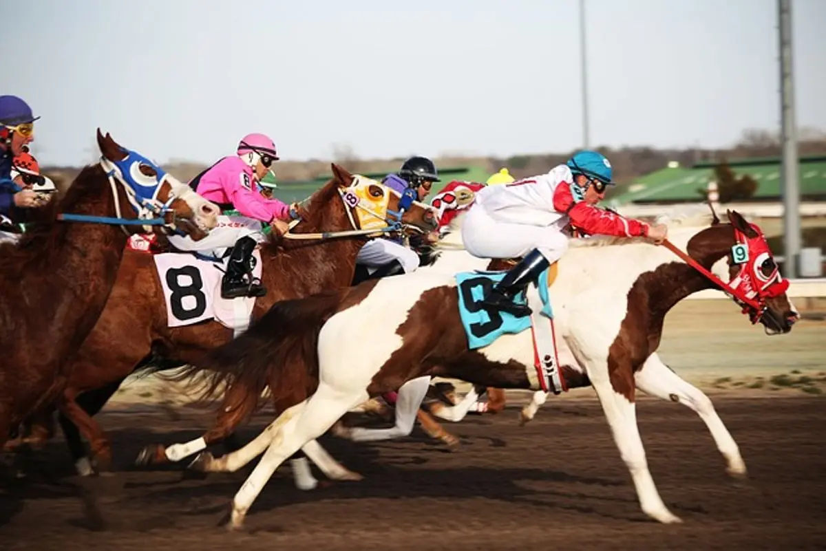 a-horse-race